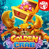 Tổ chức kiểm toán và giấy phép của okking99